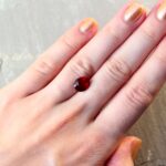 Oval Ruby